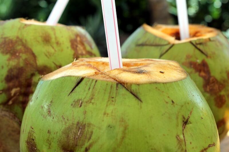 Cocco