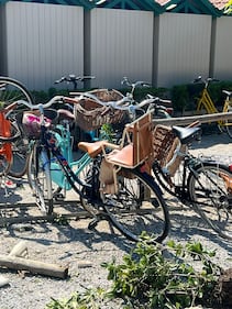 Suv sulla spiaggia a folle velocità: l'incidente a Forte dei Marmi 6