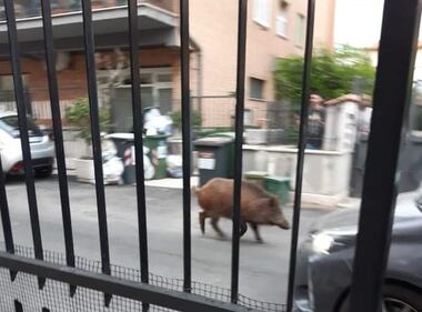 Le palazzine invase dalla spazzatura nel quartiere romano di Cinquina 8