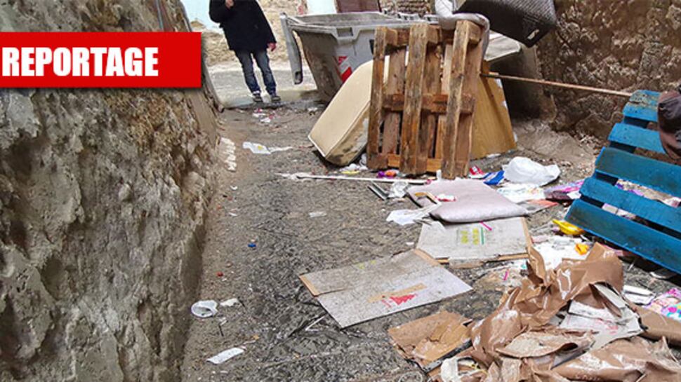 Napoli, i topi padroni del centro storico (patrimonio Unesco)