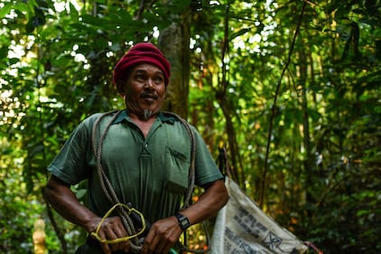 Malesia, cacciatori di miele 19