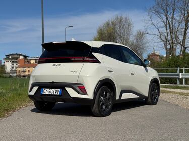 BYD Dolphin Surf, guarda tutte le foto 19