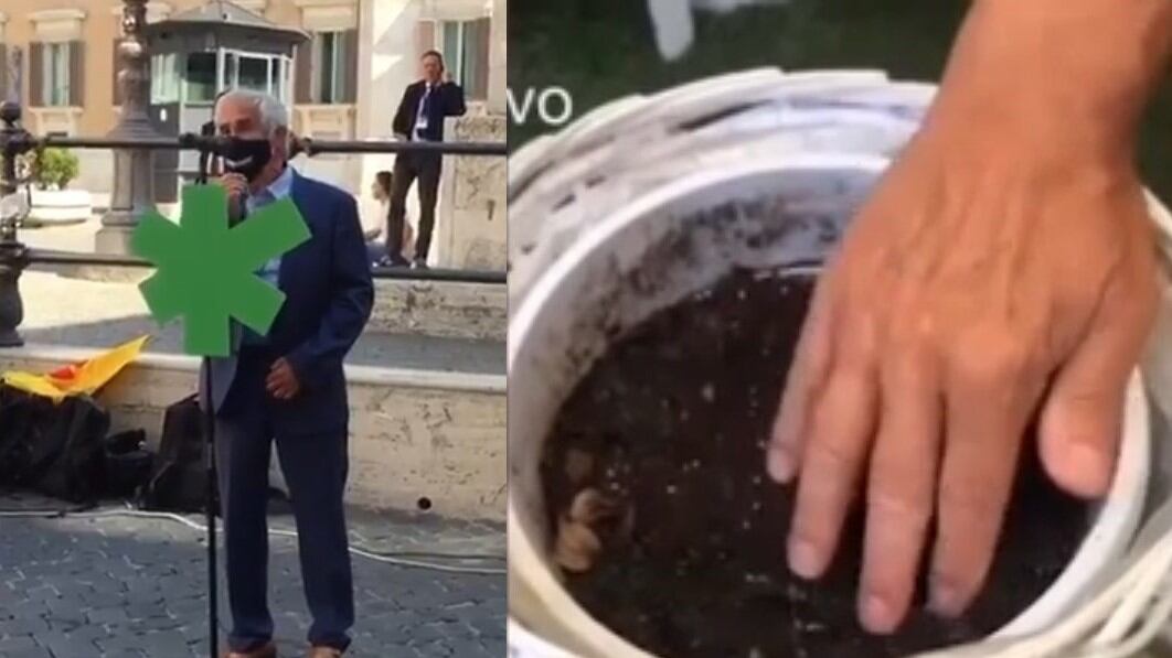 La campagna giallorossa: "Legalizzate la cannabis Noi la coltiviamo a casa"
