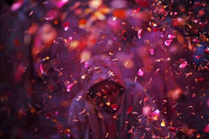 Il festival dei colori in India 6