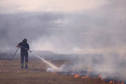 Le immagini dell'incendio scoppiato tra Monte Carnevale e Maccarese, nei pressi dell'aeroporto 7