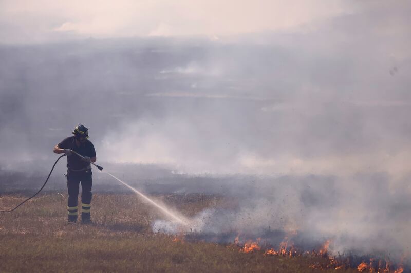 Le immagini dell'incendio scoppiato tra Monte Carnevale e Maccarese, nei pressi dell'aeroporto 7