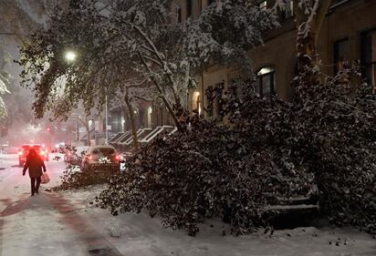 È arrivata la prima neve a New York 9