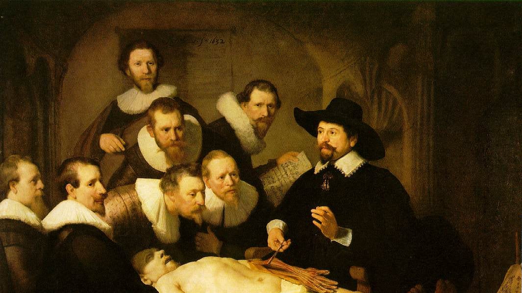 Il fascino (in)discreto dei nostri organi vitali