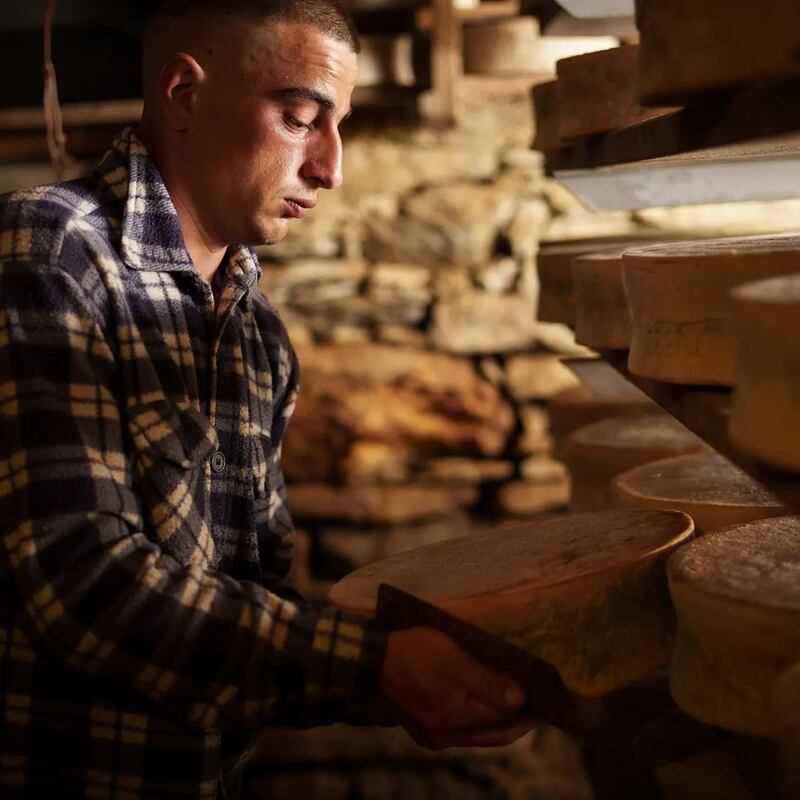modavegia formaggio