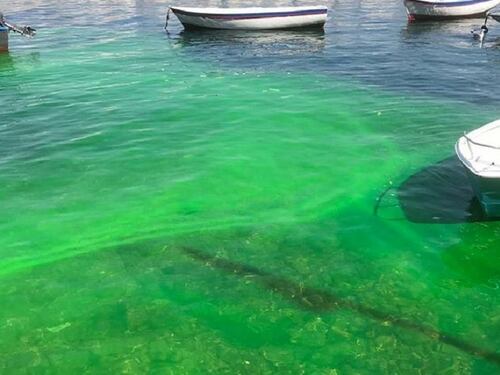 Quel mare verde che preoccupa Napoli