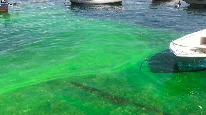 Quel mare verde che preoccupa Napoli