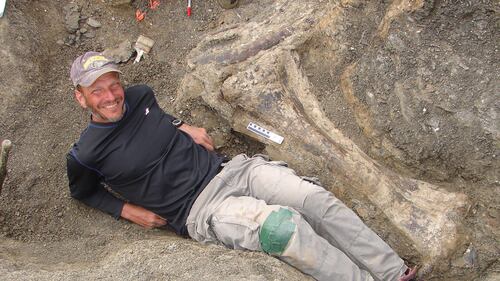 Scoperti in Argentina i resti del dinosauro da record 1