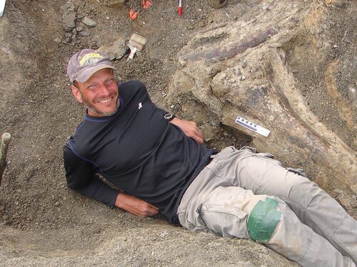 Scoperti in Argentina i resti del dinosauro da record