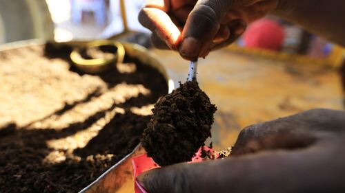 L'industria del tabacco, in Sudan 5