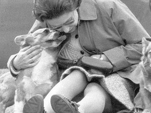 Elisabetta in lutto: è morto il cane reale