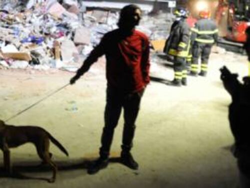 Soccorsi anche per i terremotati a quattro zampe