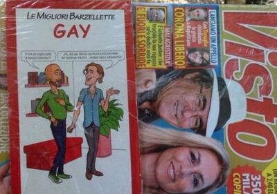 Visto e il libro sulle barzellette gay: scoppia la polemica 1