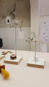 Microfacts, design in miniatura 2