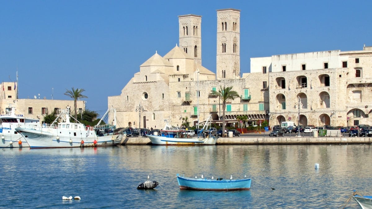 Molfetta, panico e feriti durante la festa patronale