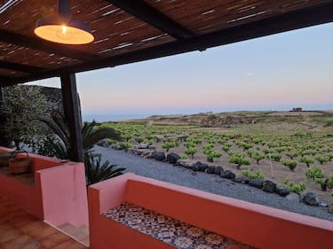 Mare, vigneti e tradizioni: il tesoro di Pantelleria 19