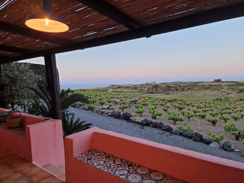 Mare, vigneti e tradizioni: il tesoro di Pantelleria 19