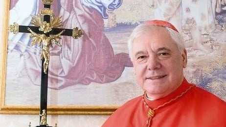 Cardinale denuncia l’"ondata progressista" penetrata nella Chiesa