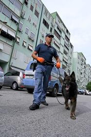 Operazione "Alto impatto": 400 agenti dispiegati in un blitz a Caivano 6