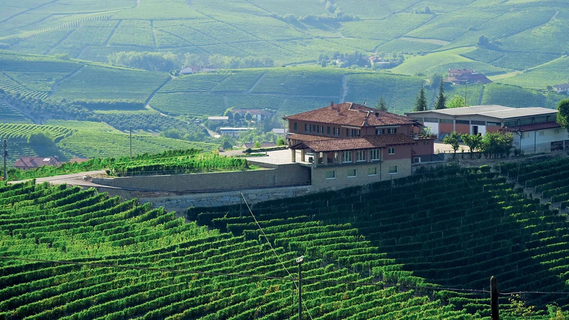 Livia Fontana, la modernità del Barolo