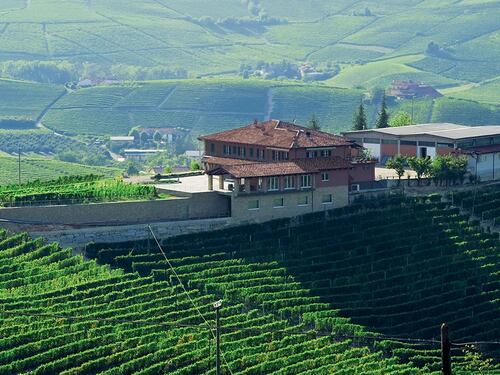Livia Fontana, la modernità del Barolo