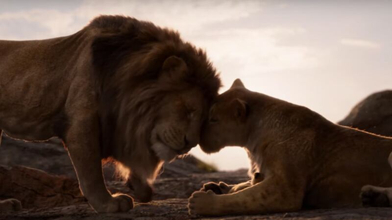 "Re Leone è un atto d'amore che difende la vera natura"