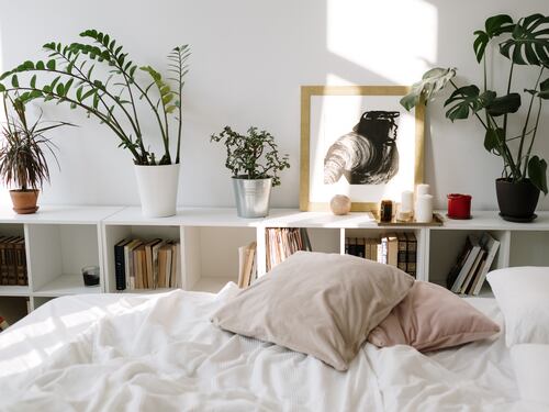 Piante in camera da letto, fanno male? Ecco le tipologie che si possono tenere