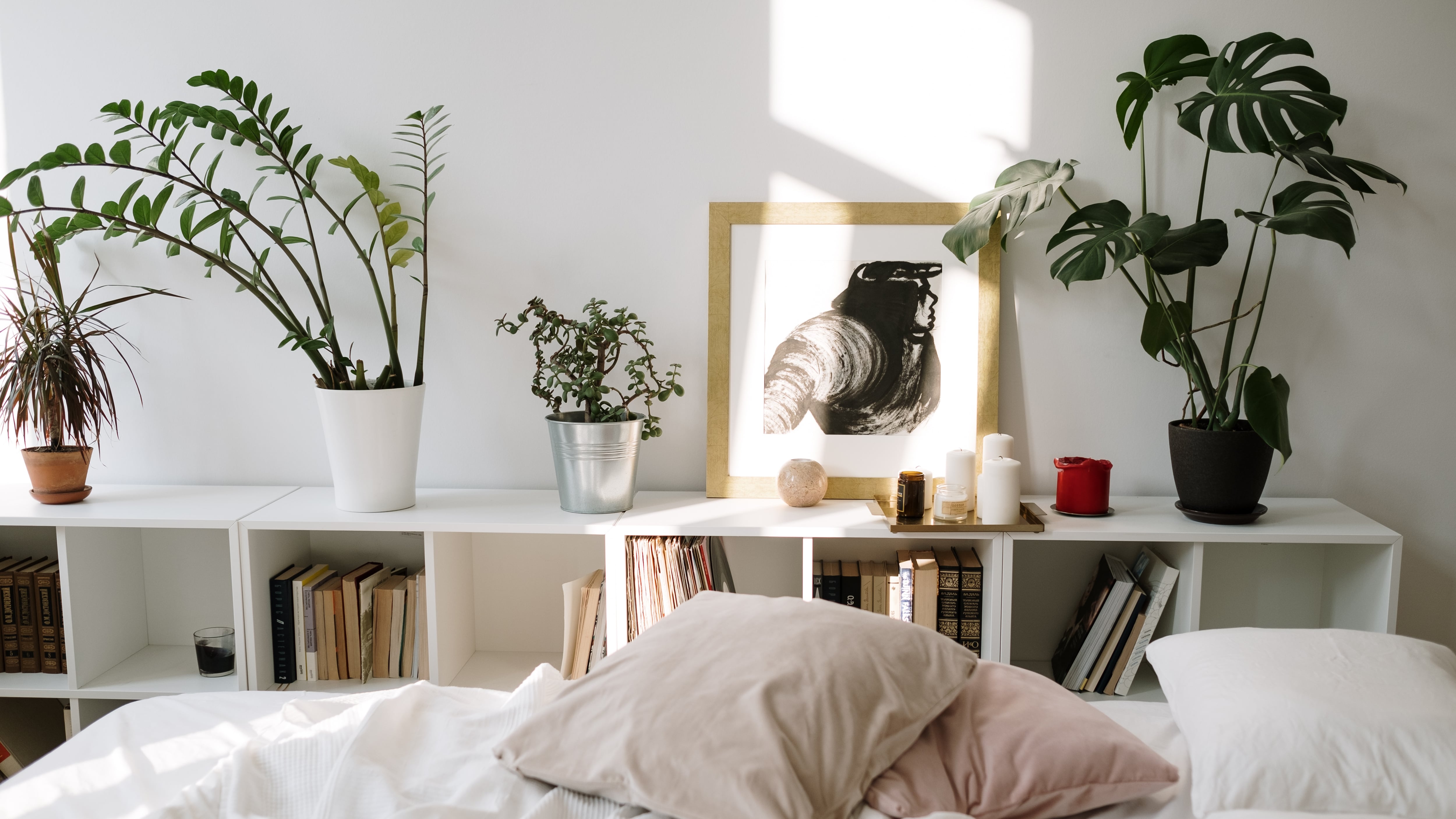 Piante in camera da letto, fanno male? Ecco le tipologie che si possono tenere