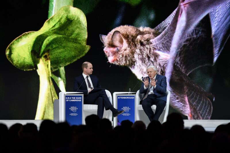 Il Principe William al World Economic Forum 12