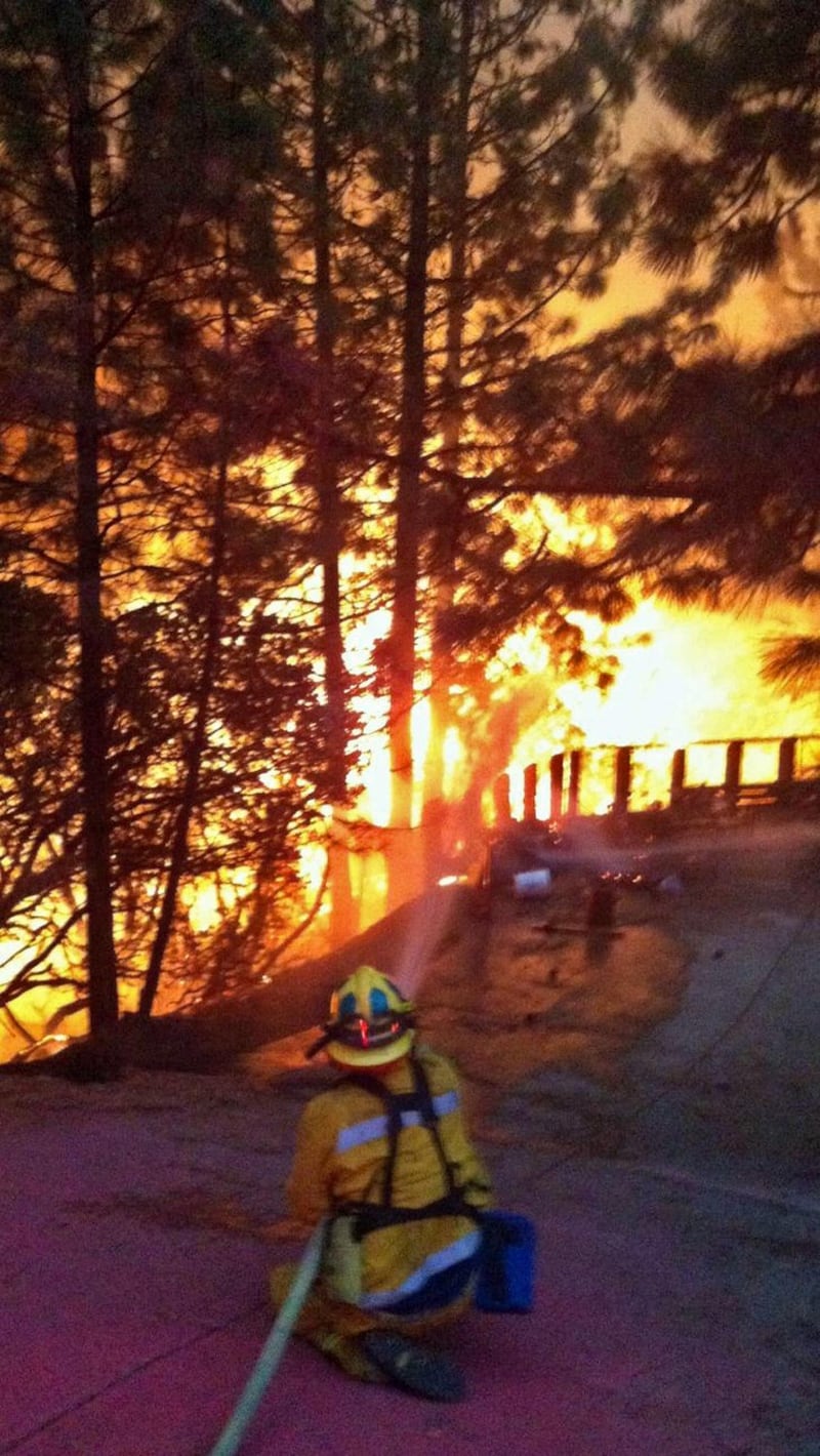 California divorata dalle fiamme. 400 case distrutte 12