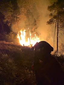 Incendio di Prato, vigili del fuoco e squadre antincendio all'opera 1