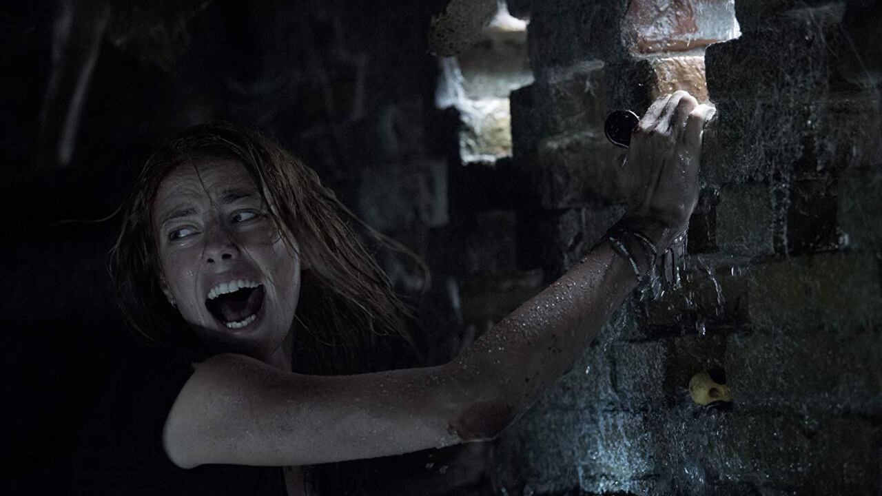Convince "Crawl - Intrappolati", 90 minuti in ostaggio di coccodrilli