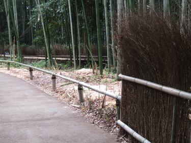 Arashiyama, il fascino invincibile della foresta di bambù 5