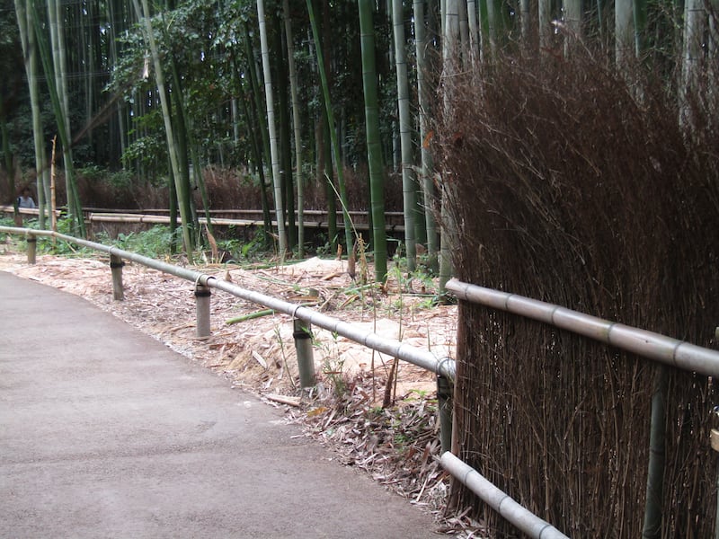 Arashiyama, il fascino invincibile della foresta di bambù 5