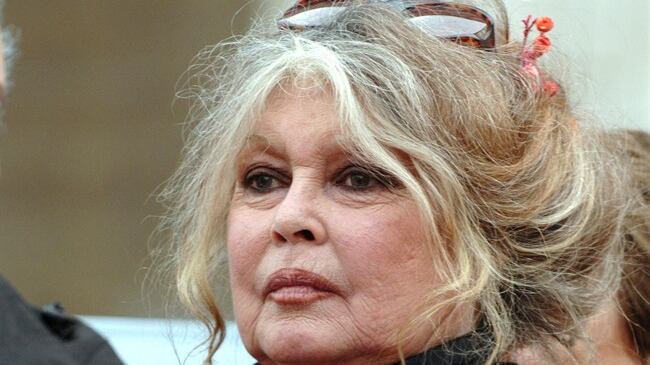 Brigitte Bardot scrive a Macron: "Un miracolo per gli animali"