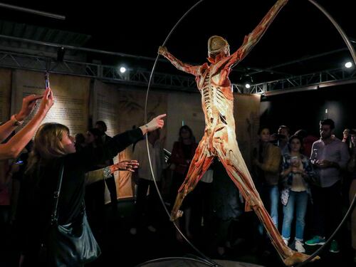 Roma, svenimenti alla mostra "Real Bodies": via le sospensioni