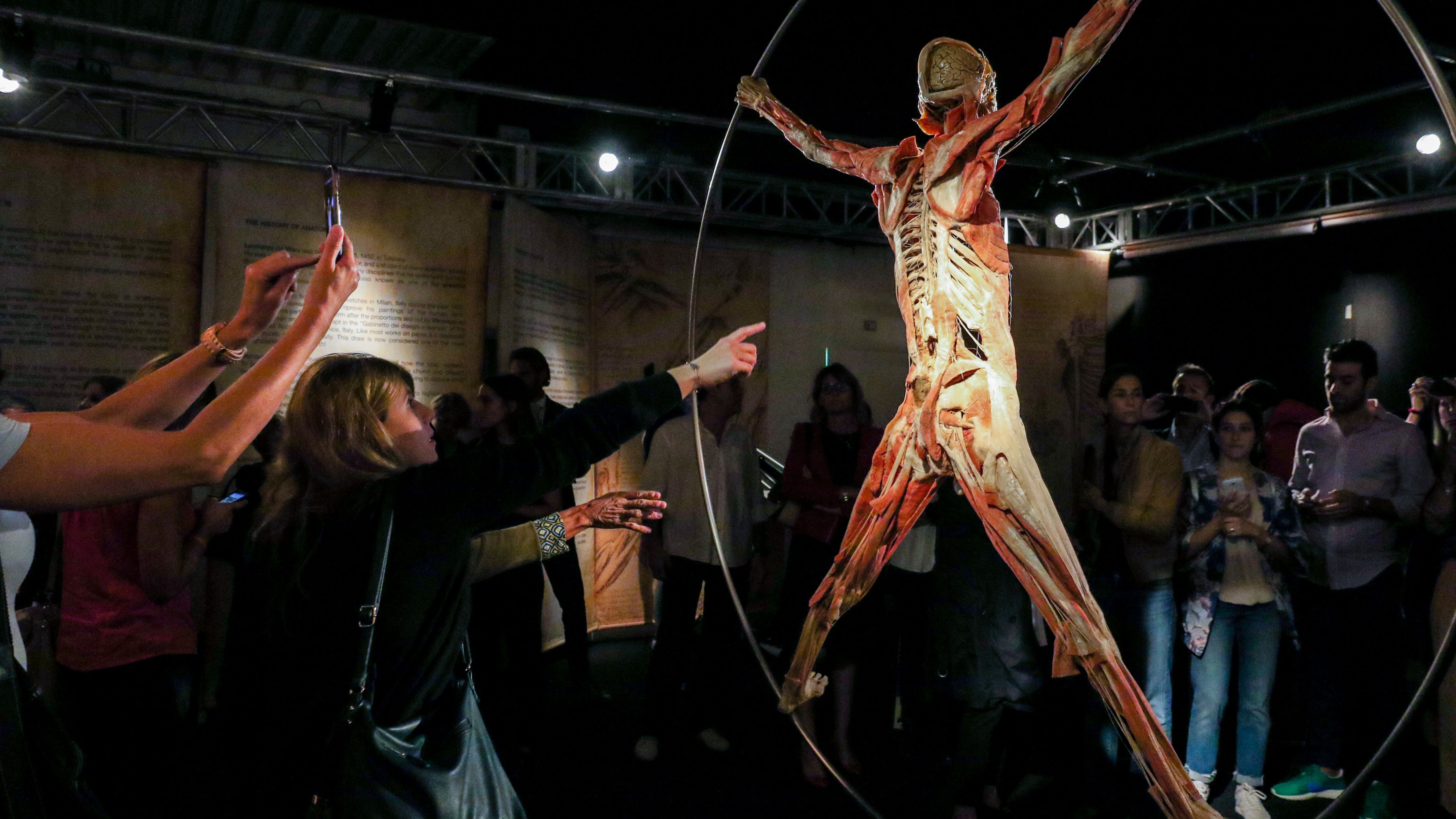 Roma, svenimenti alla mostra "Real Bodies": via le sospensioni