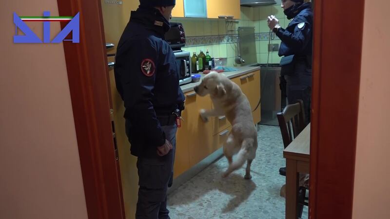'Ndrangheta, mani su Roma: 26 misure cautelari 5