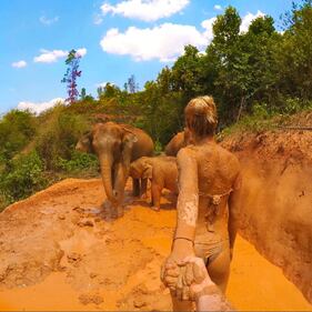 Elefante si fa un selfie 3