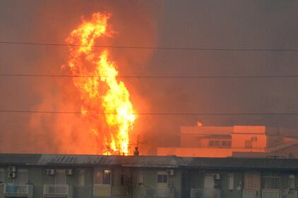 Palermo accerchiata dal fuoco: bruciano le colline attorno alla città 2