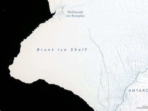 Nasa: "Un iceberg grande due volte New York si stacca dall'Antartide"