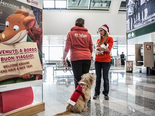 Ansia da volo? No grazie, la Pet Therapy arriva a Malpensa e Linate