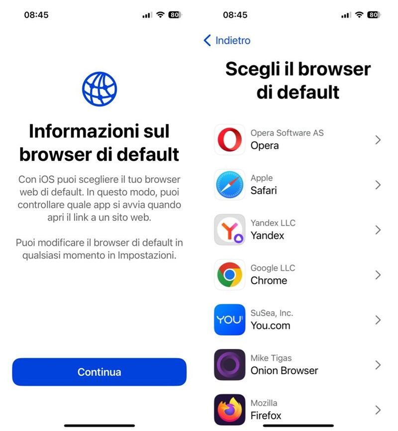 ios 17.4 browser