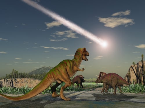 Da dove arrivava il “Killer” dei dinosauri