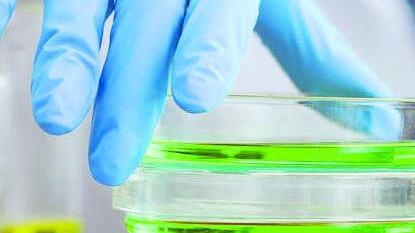 "No a strumentalizzazioni sul nucleare e la sicurezza"
