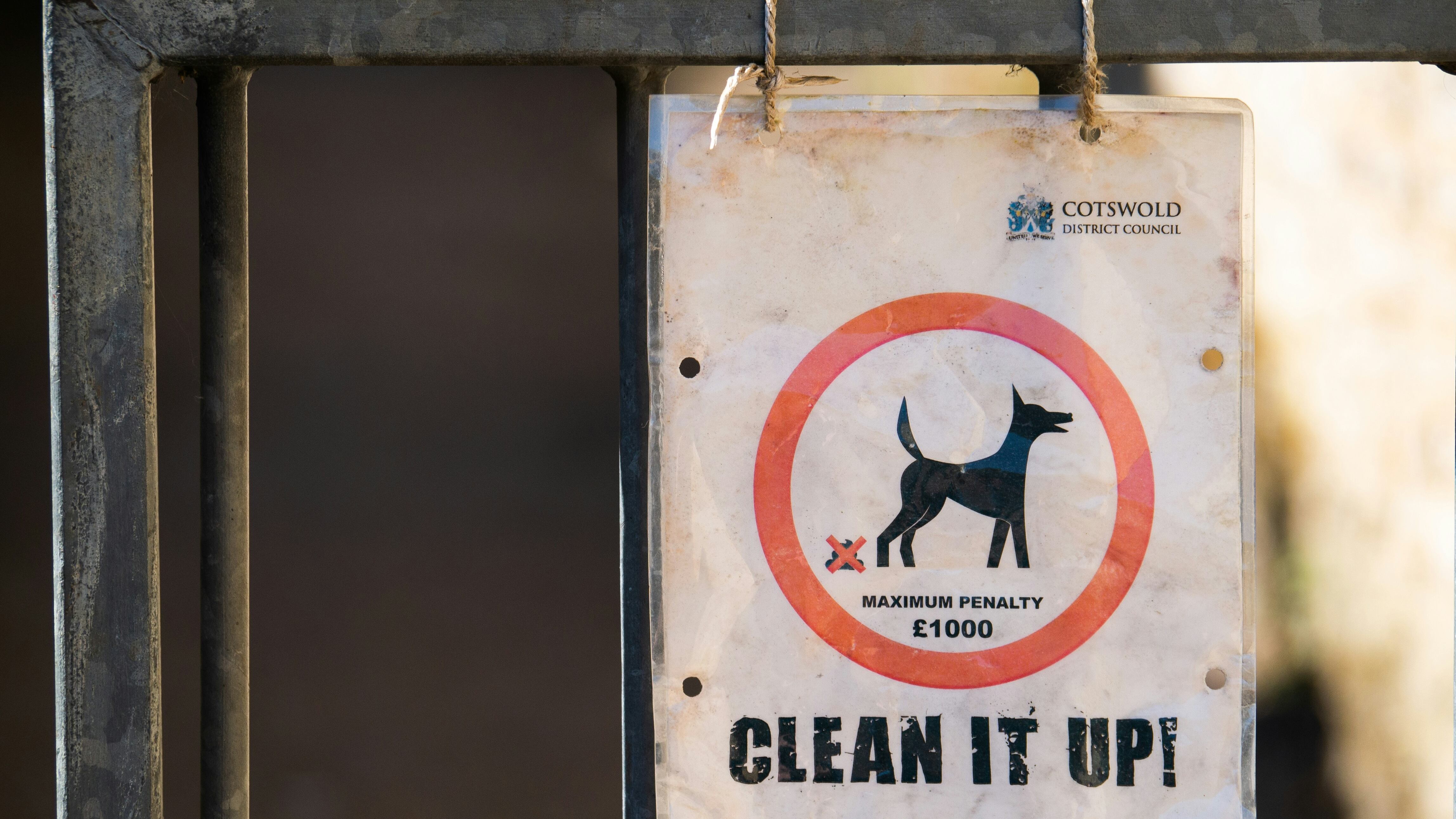 Bolzano dichiara guerra alle deiezioni: test del dna ai cani e maxi multe ai padroni
